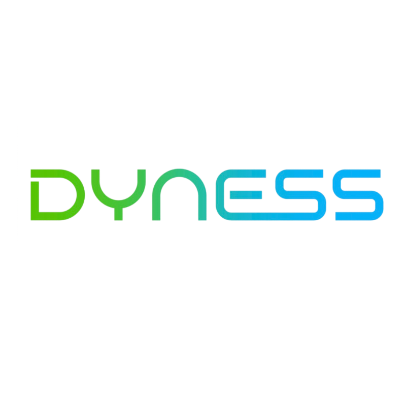 DYNESS