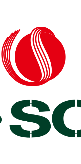 V.SOL