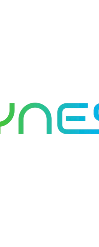 DYNESS
