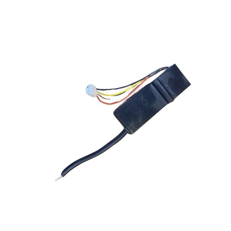 Encapsulated Electronic Module